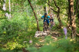 Two mountain bikers riding through a forest trail