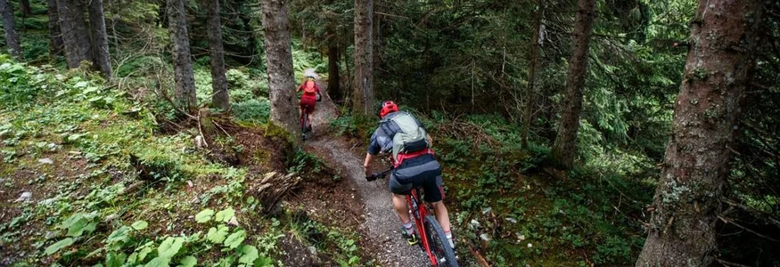 Zwei Mountainbiker fahren auf einem Waldweg unter einem OurTrail-Banner
