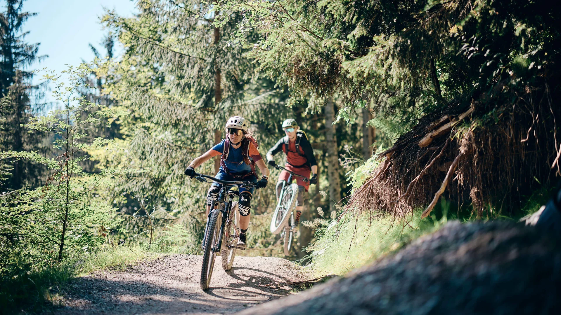 Zwei Mountainbiker fahren auf einem Waldweg bei Sonnenschein