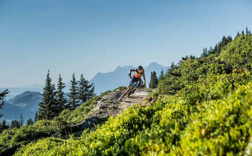 Mountain biker riding on a mountain trail with trees and mountains in the background