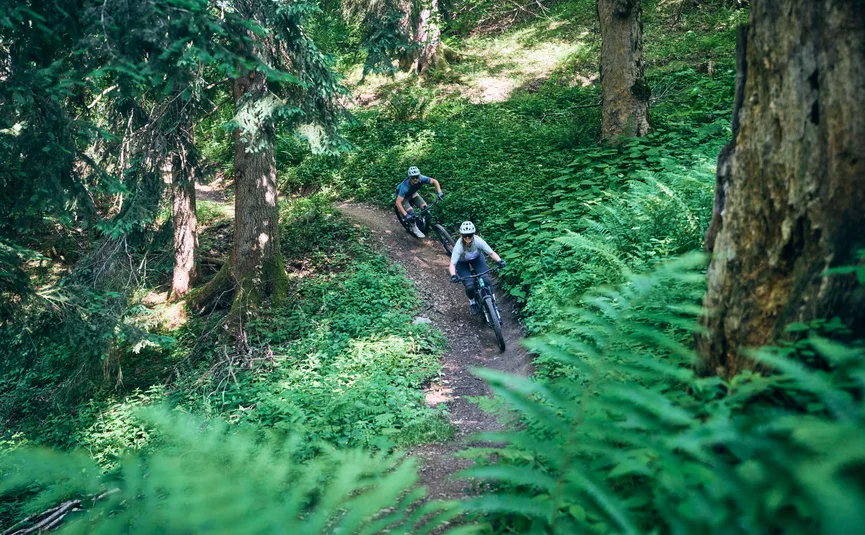 Two mountain bikers riding down a forest trail surrounded by greenery