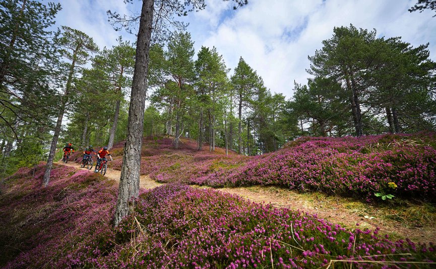 Mountainbike Urlaub in Koroska