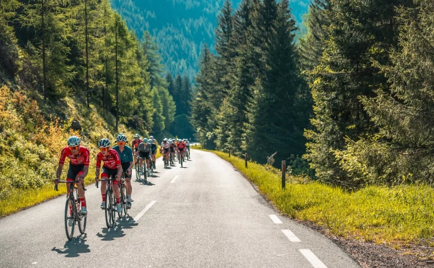 Group of cyclists riding on mountain road surrounded by pine trees