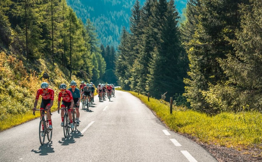 Radfahrergruppe fährt auf Bergstraße umgeben von Nadelbäumen