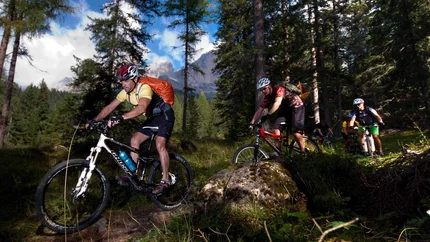 Mountainbikers op bospaadje met bergen op de achtergrond