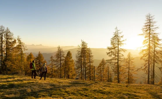 Zwei Wanderer genießen den Sonnenuntergang in einem Herbstwald in den Bergen