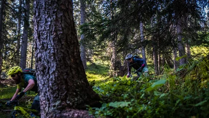 Mountainbiker fahren durch dichten Wald auf schmalem Pfad