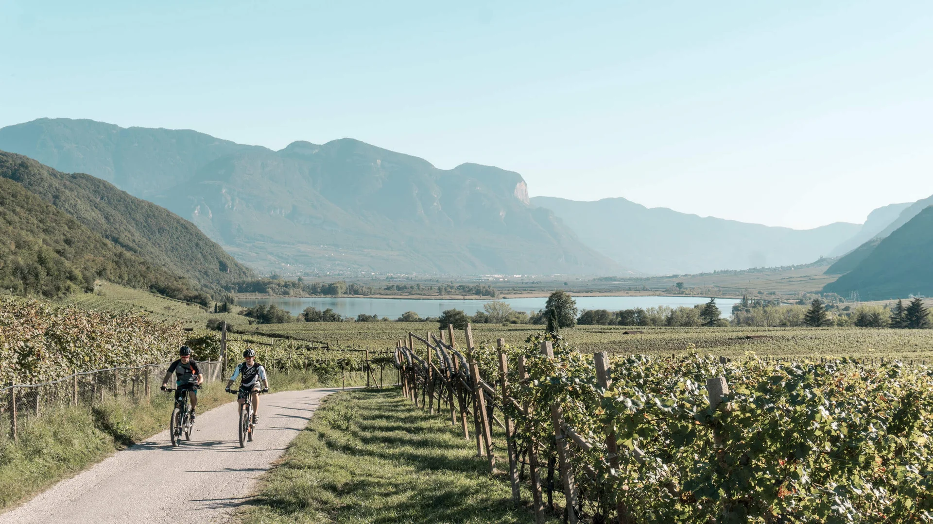 Zwei Radfahrer fahren auf einem Weg durch Weinberge mit Bergen und See im Hintergrund