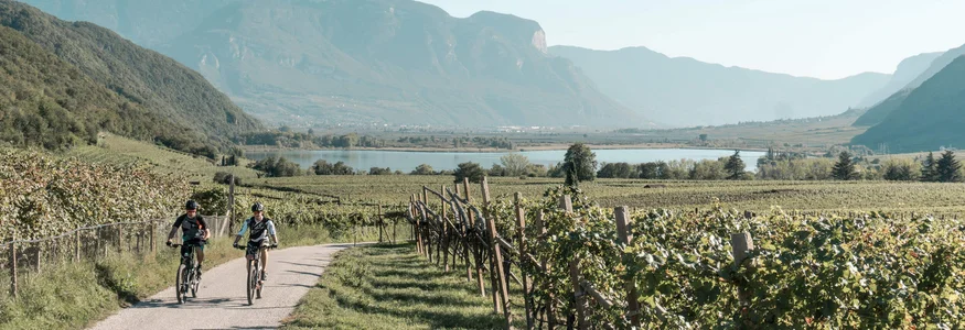 Two cyclists riding on a path through vineyards with mountains and lake in the background