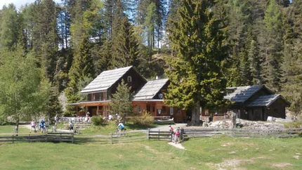 Holzhütten im Wald mit Radfahrern auf einer Wiese
