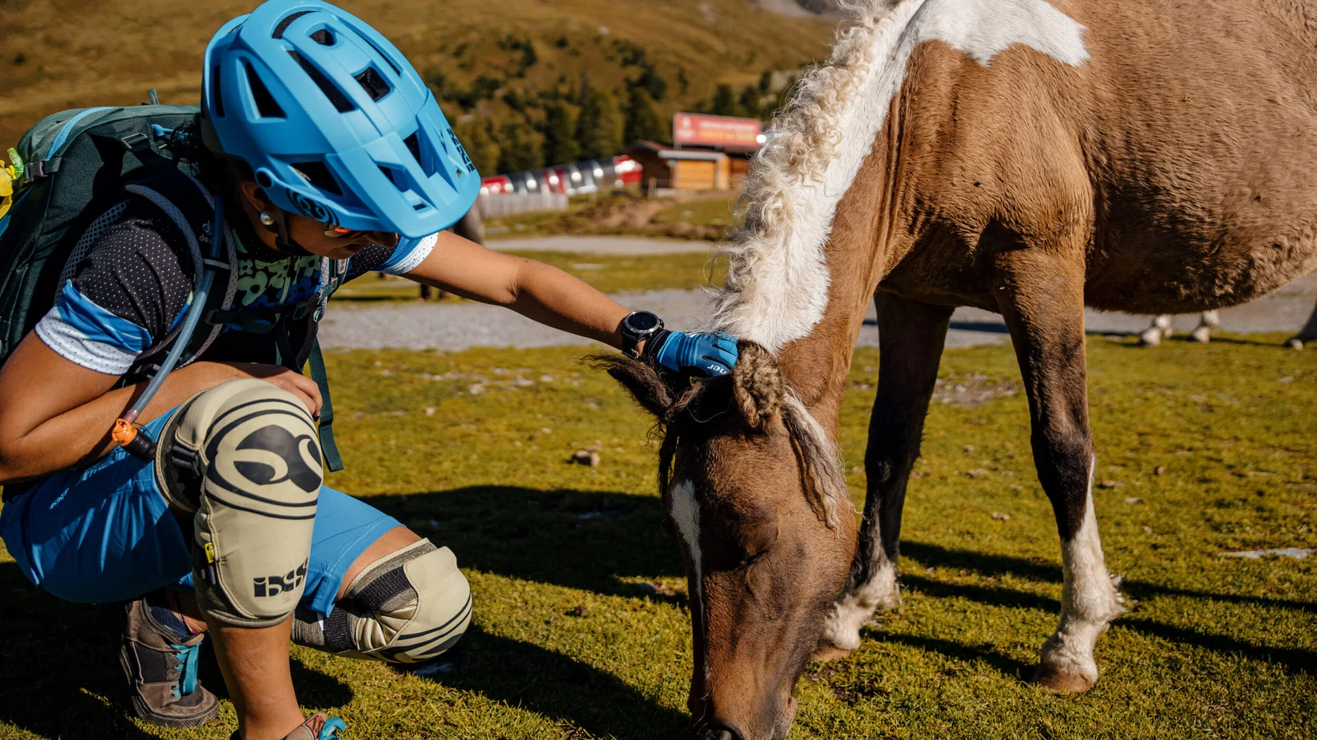 Kind mit Helm streichelt ein braunes Pferd auf einer Wiese
