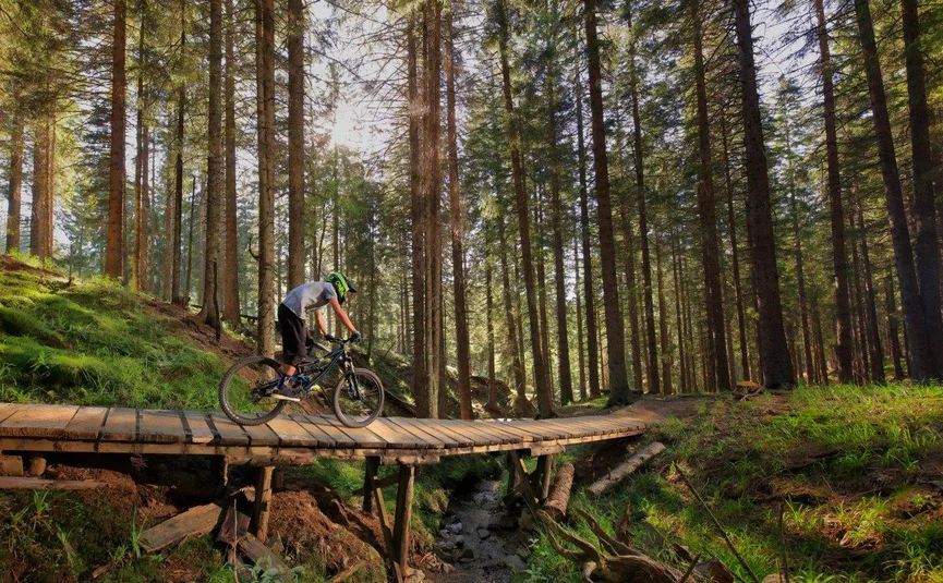Mountainbiker rijdt over houten brug in bos bij zonlicht