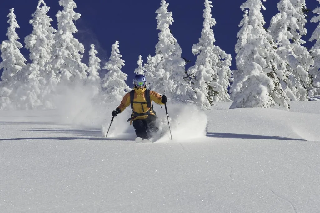 Skiër glijdt door diepe poedersneeuw tussen besneeuwde bomen