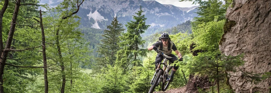 Mountainbiker fährt auf felsigem Waldpfad mit Bergkulisse