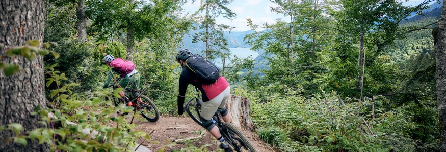 Zwei Mountainbiker fahren auf einem Waldweg bergab