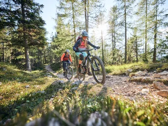 Two mountain bikers ride uphill on a sunny forest trail