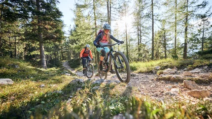 Twee mountainbikers fietsen bergop op een zonnig bospad