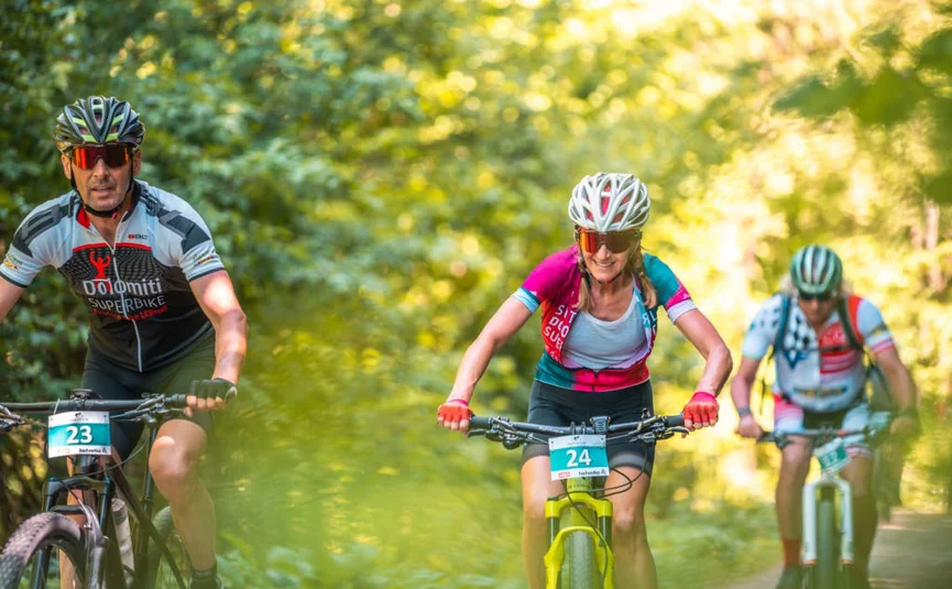 Group of cyclists riding on forest trail in sunny weather