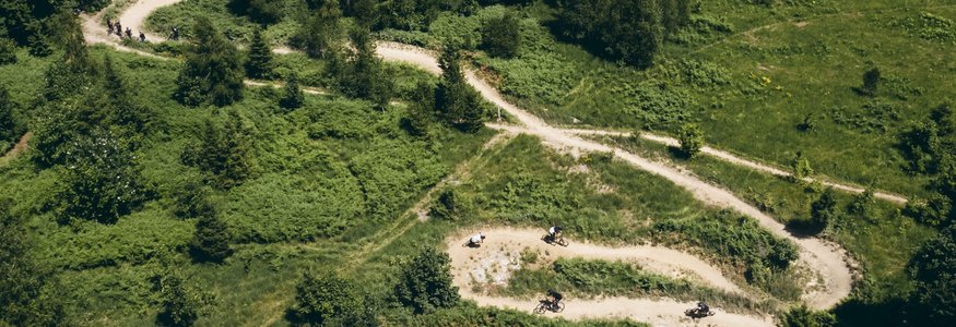 Schmale kurvige Wege im Wald mit Mountainbikern auf einer Abfahrt