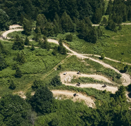 Schmale kurvige Wege im Wald mit Mountainbikern auf einer Abfahrt