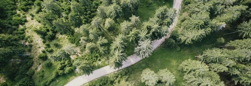 Rogla - Pohorje © Patrick Wasshuber Luchtfoto van een kronkelend bospad door groene bomen