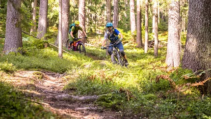 Zwei Mountainbiker fahren auf einem Waldweg im Sonnenschein