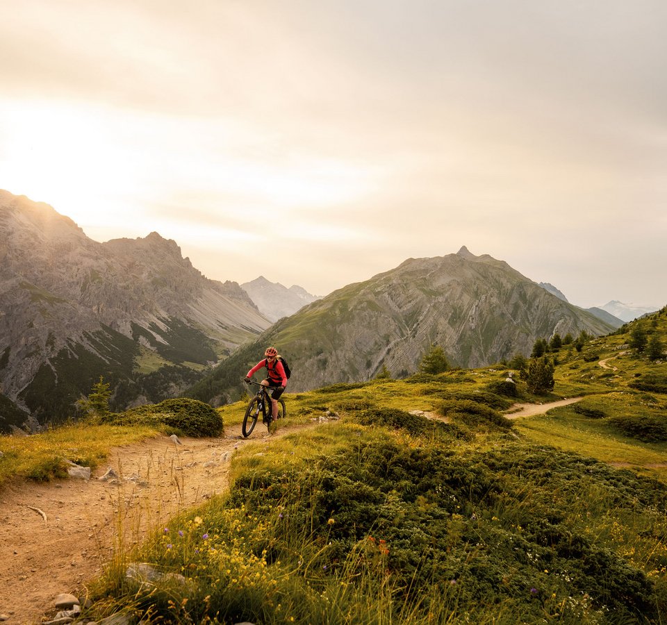 Above | The Bike Experience © Christoph Gramann Above | The Bike Experience