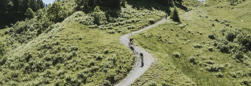 Fietsers op smal pad door groene heuvels en bomen