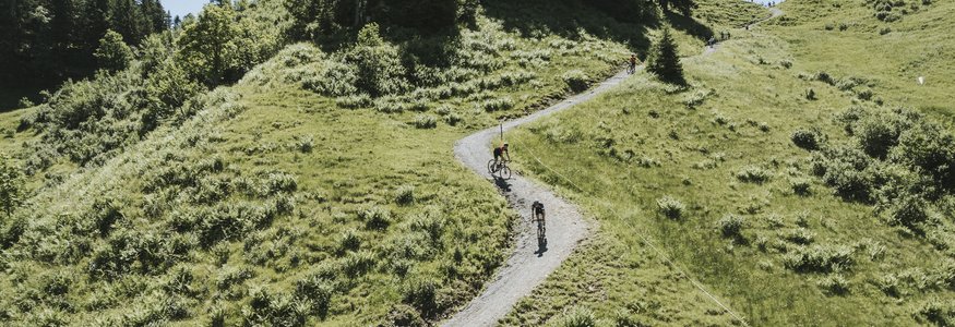 Cyclists on narrow trail through green hills and trees