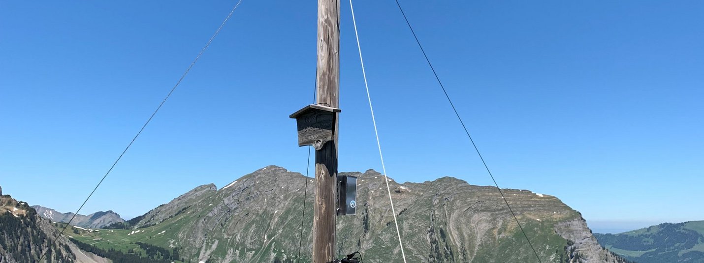 Au - Schoppernau Rund um die Kanisfluh