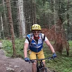 Mann fährt Mountainbike auf Waldweg mit grünen Bäumen