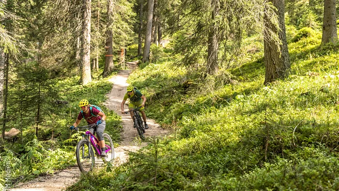 Two mountain bikers riding on a sunny forest trail
