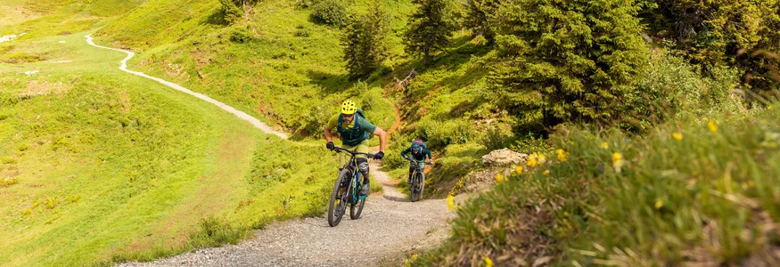 Twee mountainbikers beklimmen een groen bergpad