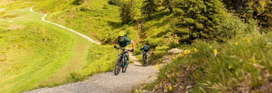Zwei Mountainbiker fahren einen Bergweg hinauf im Grünen