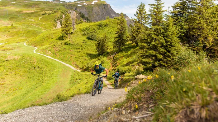 Twee mountainbikers beklimmen een groen bergpad