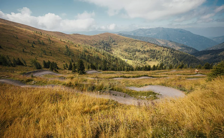 Winding hiking trail through grassy hills with mountains in the background
