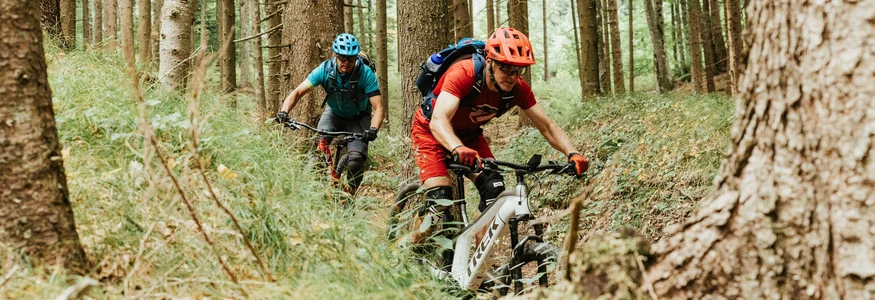 Two mountain bikers riding on a narrow forest trail