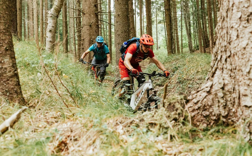 Two mountain bikers riding on a narrow forest trail