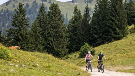 Twee fietsers rijden op een bergpad tussen groene heuvels en dennenbomen