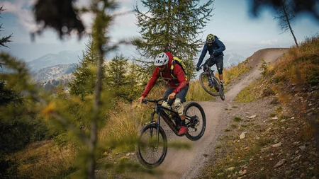 7 Highlights im NOCKBIKE-MTB-Urlaub © David Karg Zwei Mountainbiker fahren auf einem bergigen Waldweg