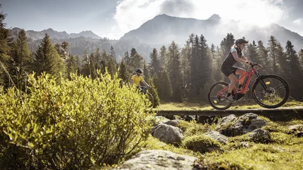 Zwei Radfahrer auf Mountainbikes auf Waldweg mit Bergen im Hintergrund