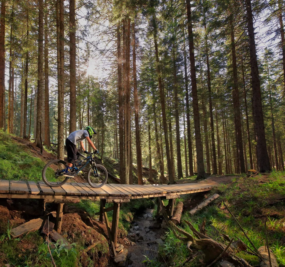 Mountainbike Urlaub in Rogla – Pohorje © Dan Briski Mountainbiker fährt auf einer Holzbrücke durch einen sonnigen Wald