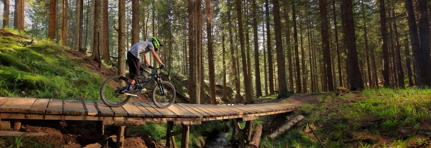 Mountainbike-Urlaub in Slowenien © Dan Briski Mountainbiker fährt auf einer Holzbrücke durch einen sonnigen Wald