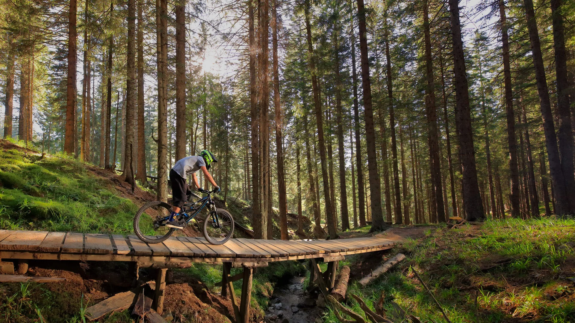 Mountain biker rides on a wooden bridge in a sunny forest