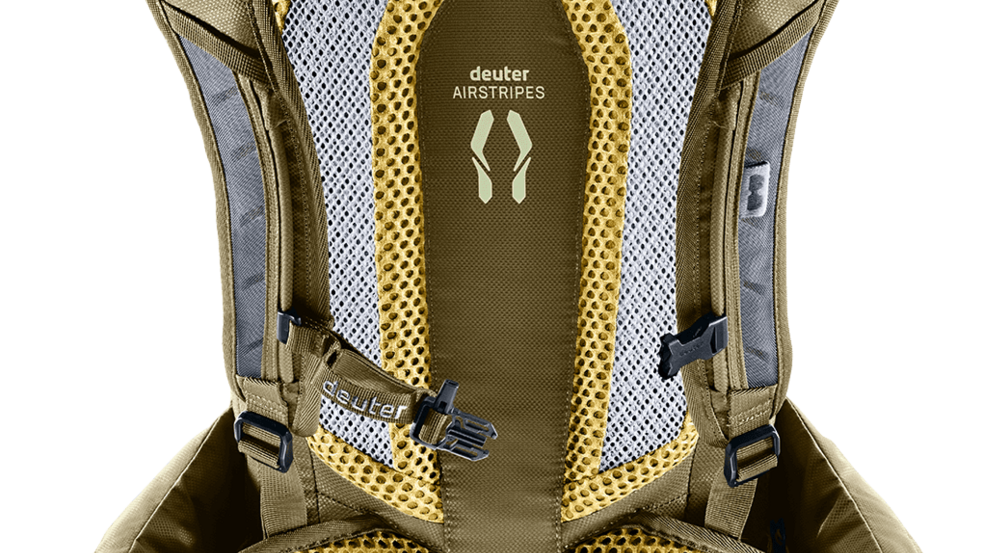 Rückansicht eines deuter Rucksacks mit gepolstertem Airstripes-Tragesystem