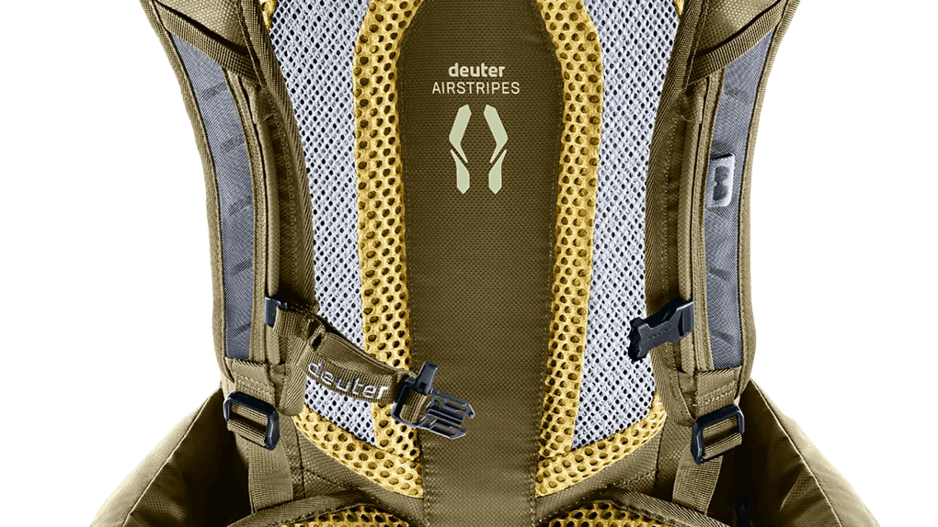 Rückansicht eines deuter Rucksacks mit gepolstertem Airstripes-Tragesystem