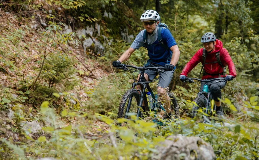 Zwei Männer fahren Mountainbike im Wald auf einem Naturpfad
