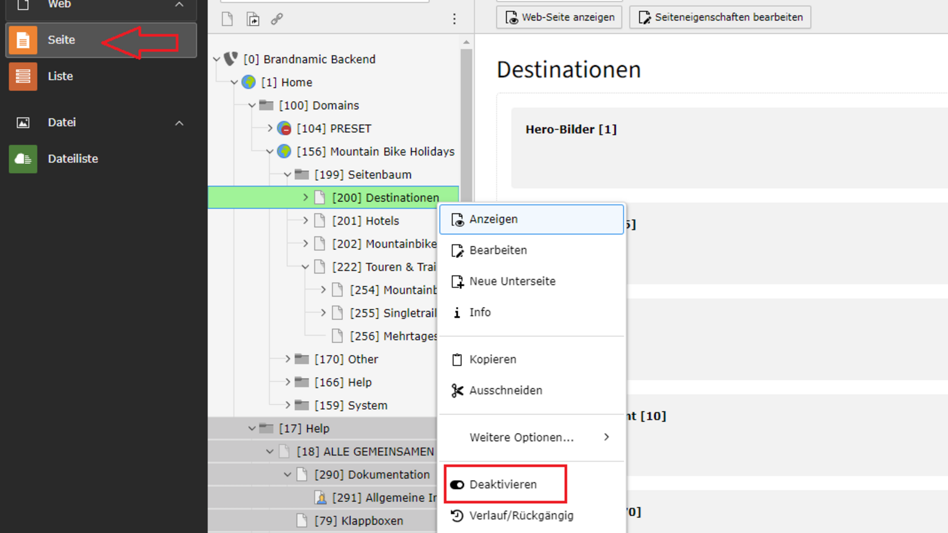 Allgemeine Infos zur Website Brandnamic Backend Seite mit Menü und Deaktivieren Option