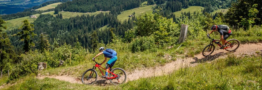 Zwei Mountainbiker fahren auf einem Bergweg mit grüner Landschaft und Bergpanorama