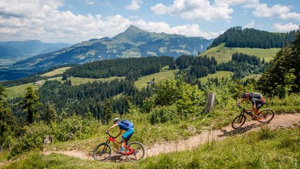 Zwei Mountainbiker fahren auf einem Bergweg mit grüner Landschaft und Bergpanorama